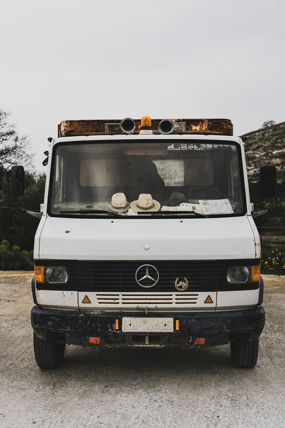 Hermes Van