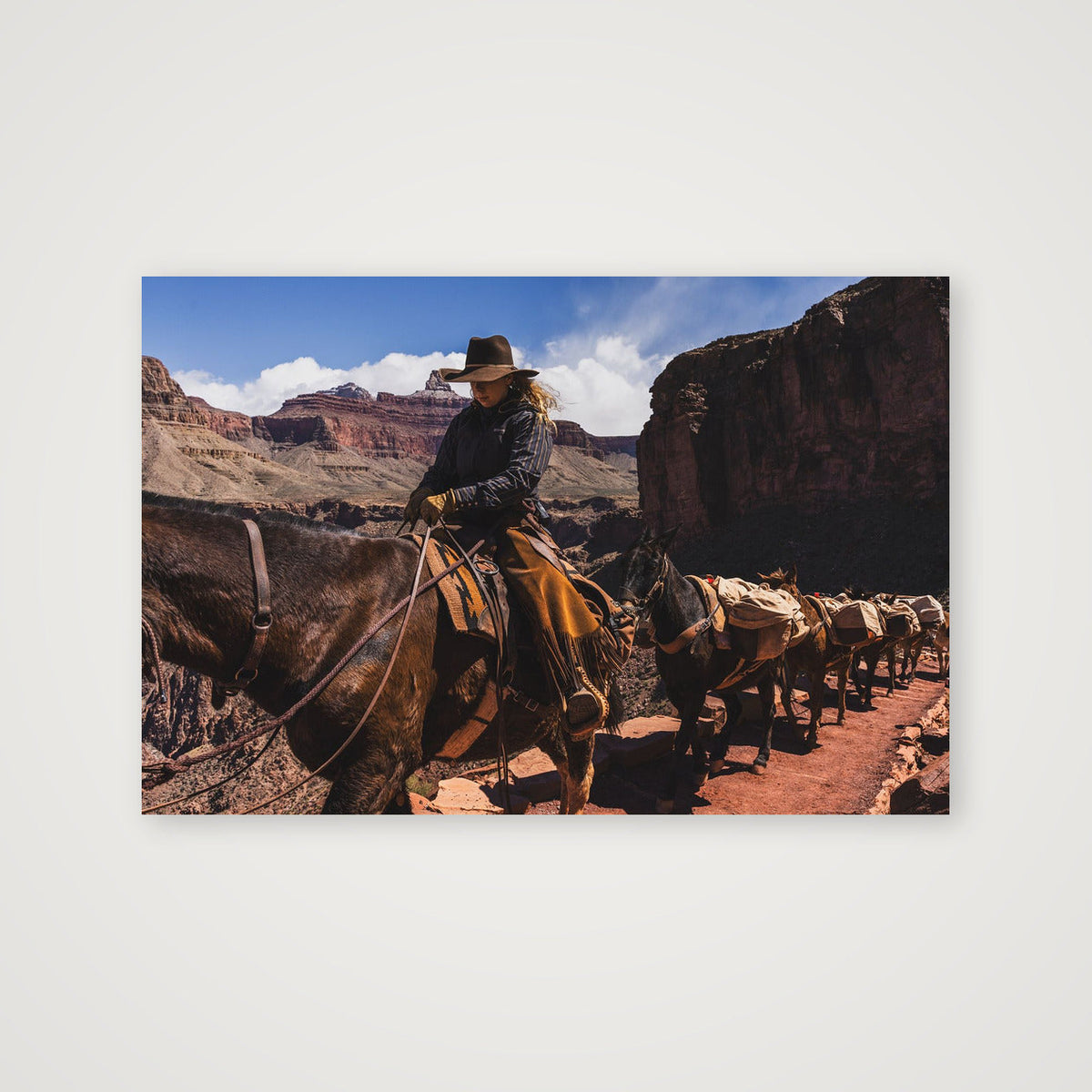 Grand Canyon Mules — 30×20cm, 12×8" Print only