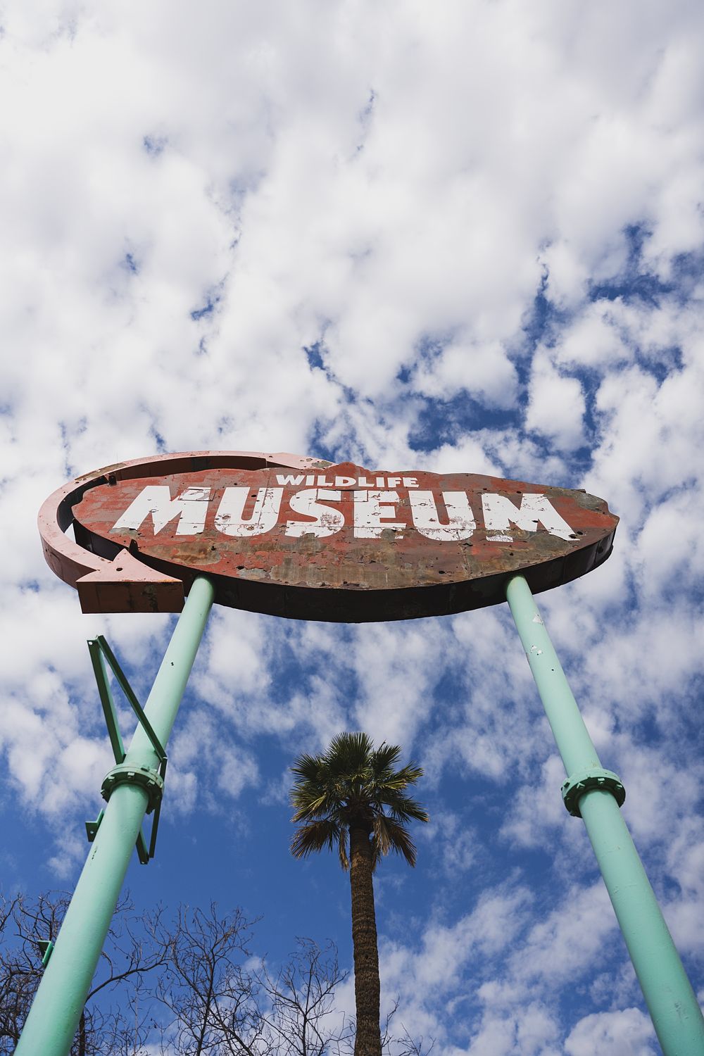 Neon Sign #1