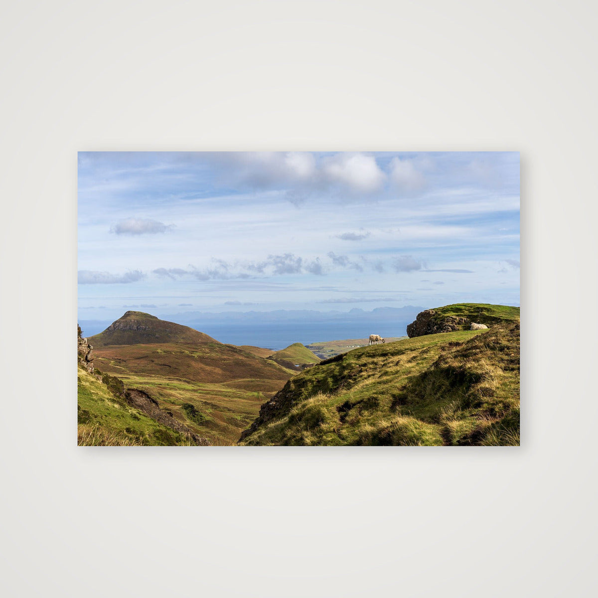 The Quiraing Sheep — 91×61cm, 36×24" Print only