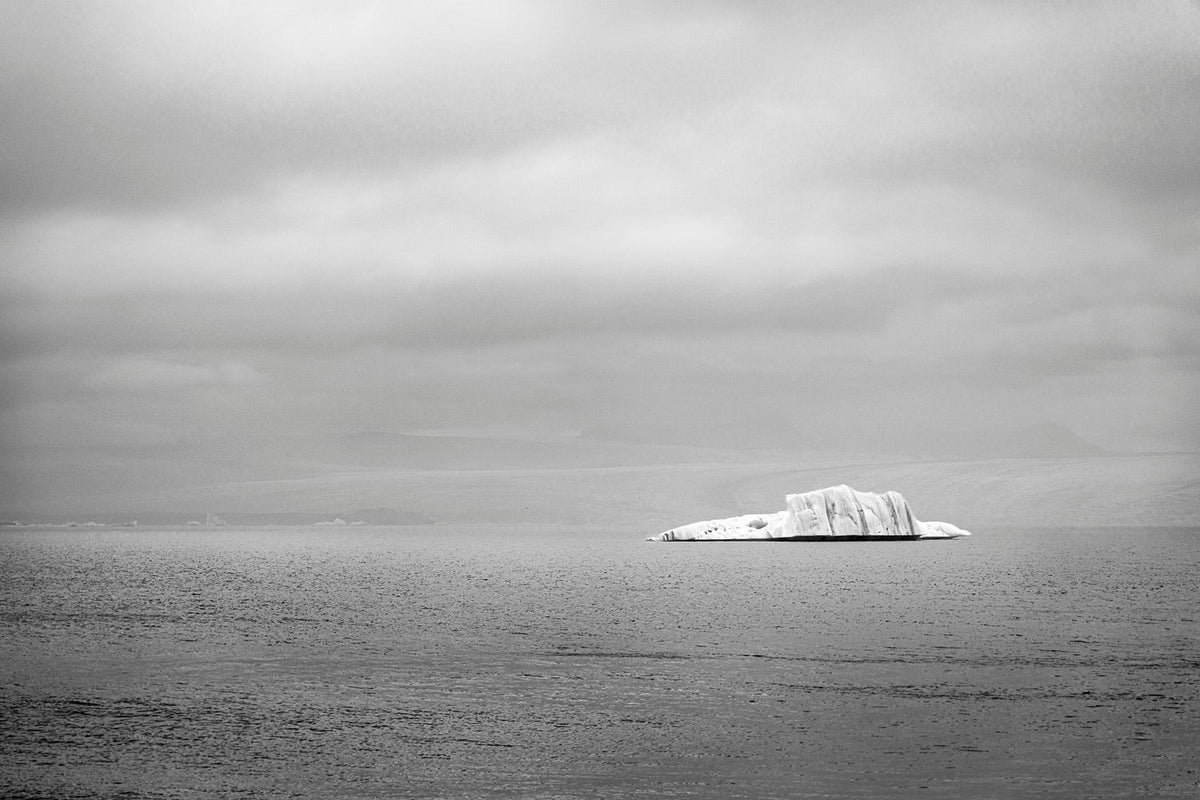 The Lonely Iceberg