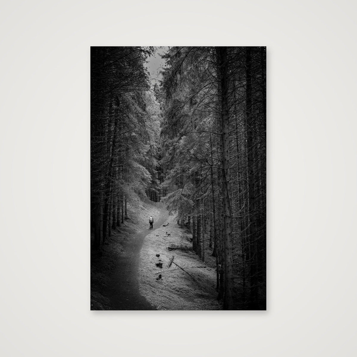 Forest Walker — 61×91cm, 24×36" Print only