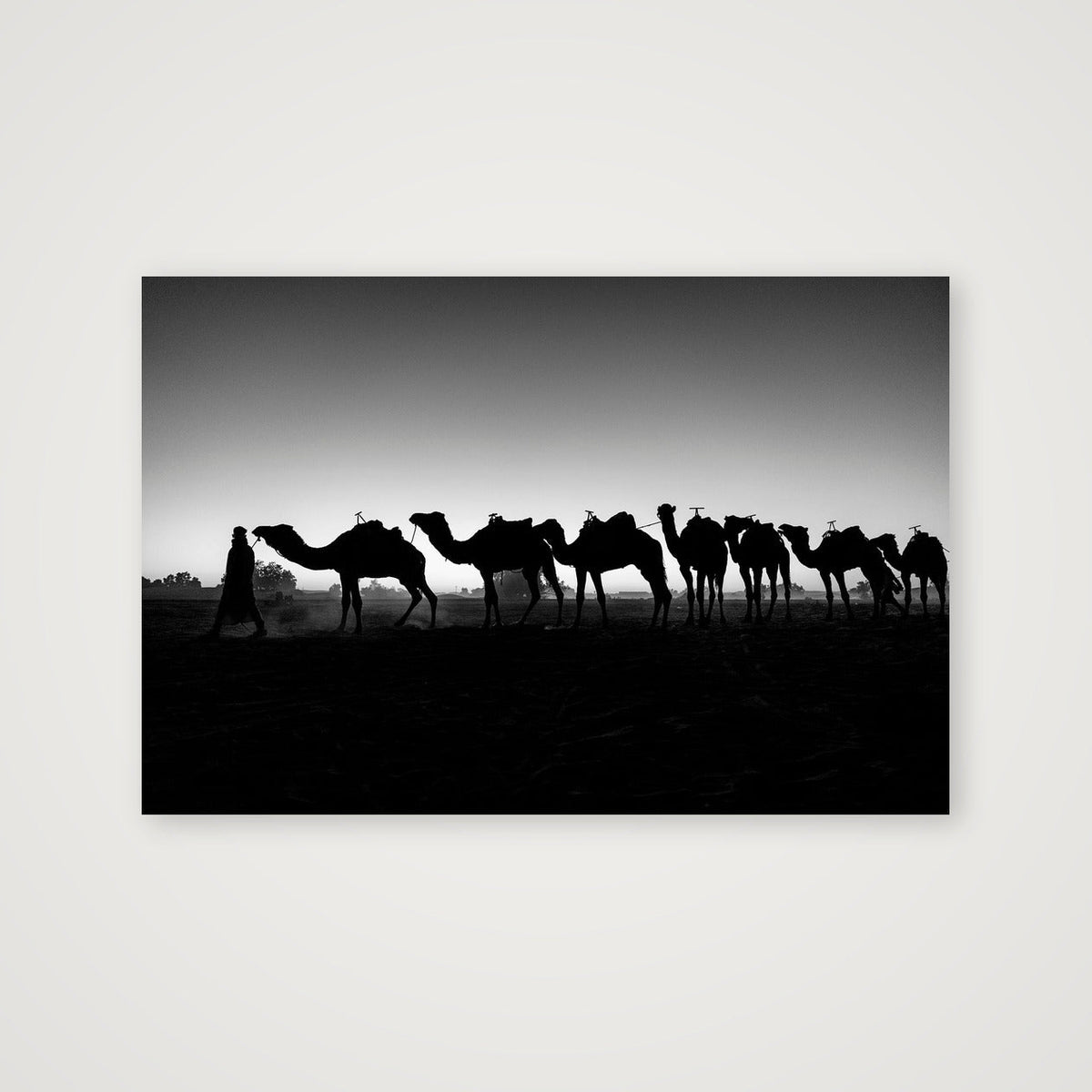 Camels at Dusk — 30×20cm, 12×8" Print only